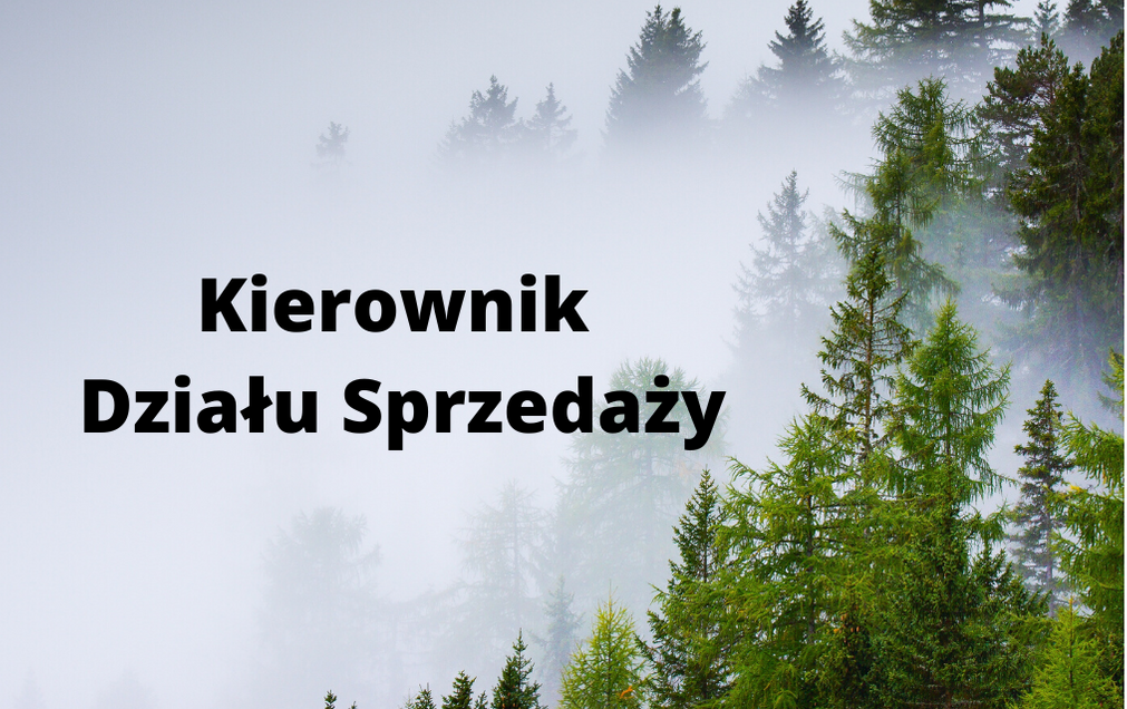 Kierownik Działu Sprzedaży